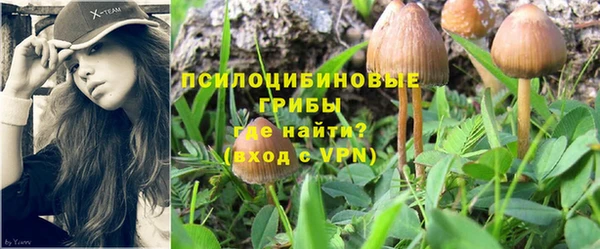 стаф Беломорск