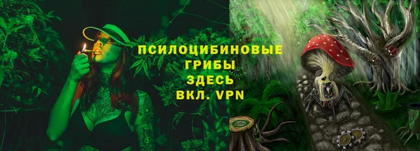 mdma Богданович